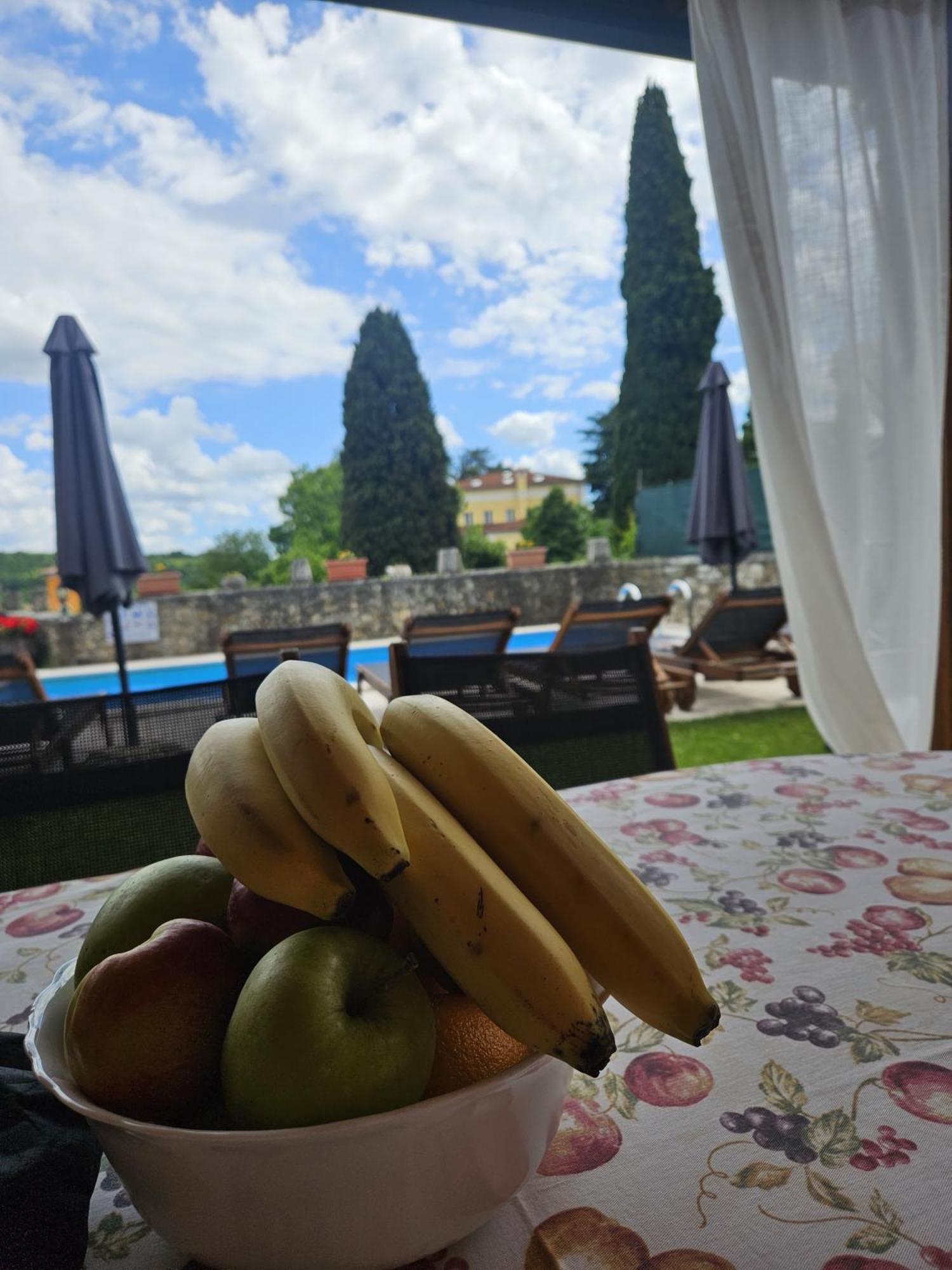 Villa Letizia Oprtalj Bagian luar foto