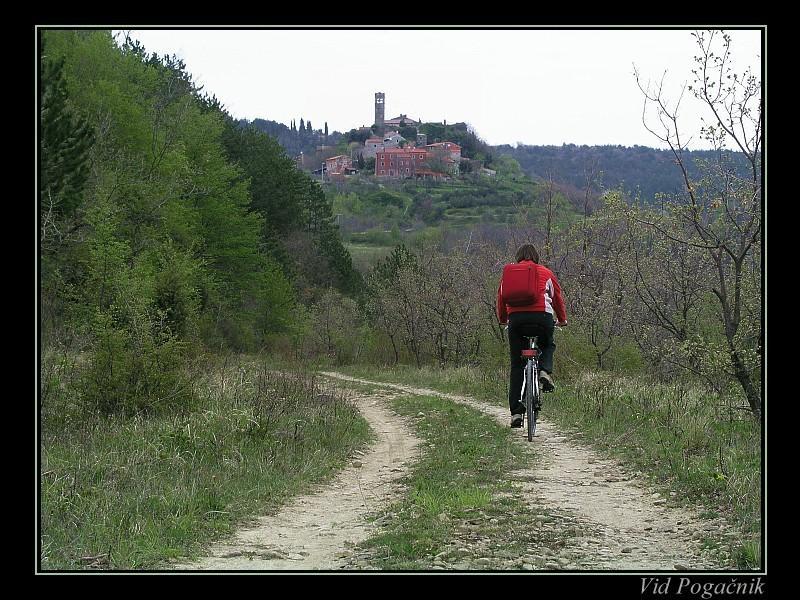 Villa Letizia Oprtalj Ruang foto